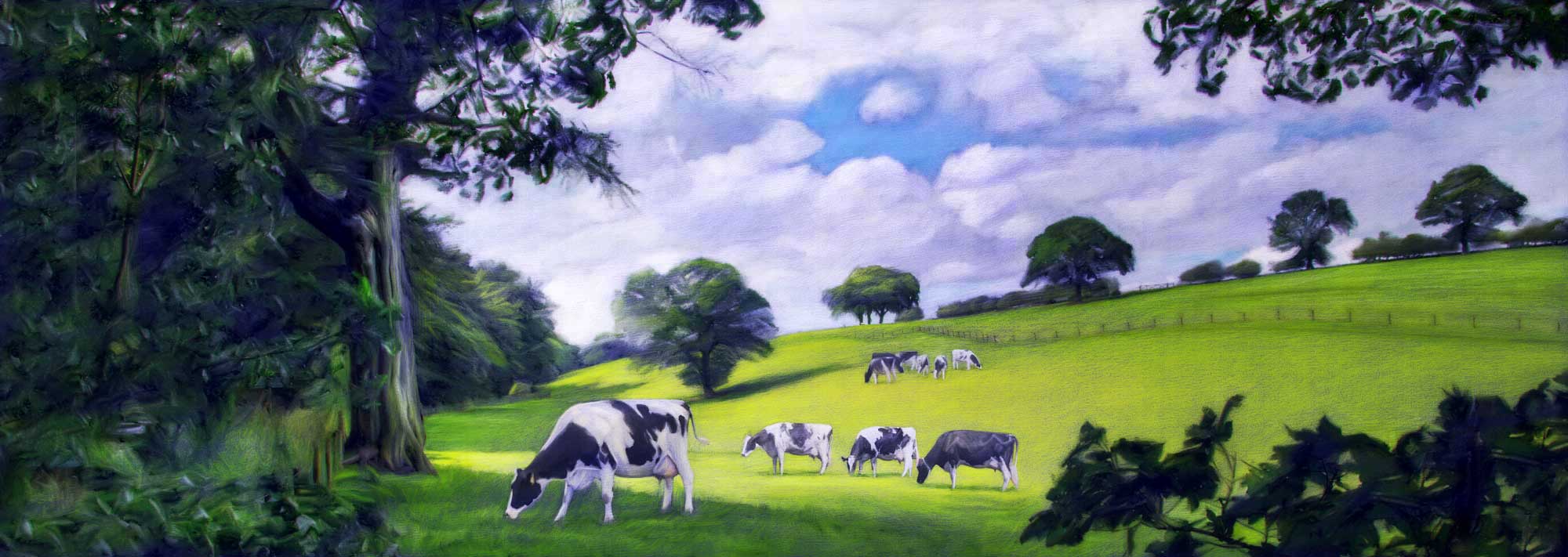 Grass Fed Cows